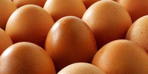 鸡蛋各地方特产 中国哪个县鸡蛋最多