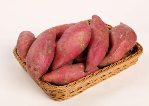 板栗红薯特别的好吃陕西特产 正宗陕西临潼板栗红薯黄心