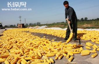 河北邯郸零食特产是什么 邯郸特产前十名排行榜