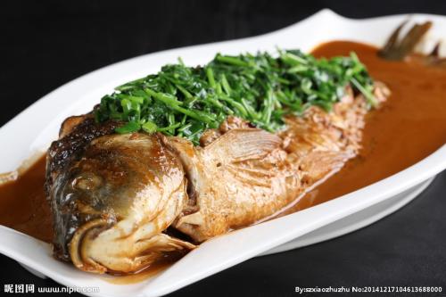 黄河的特产鱼是什么品种 