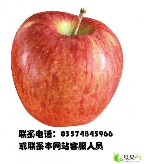 山西特产芮泰传统酿造苹果 山西特产水果哪种最好
