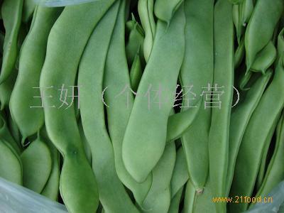 木里特产芸豆 芸豆是哪里的特产