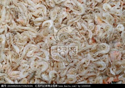 小海凤特产 虾皮 渤海湾虾皮多少钱一斤