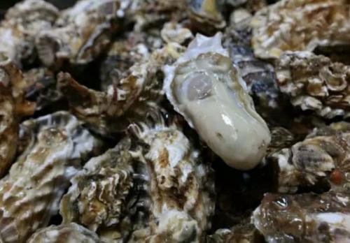 福建特产海蛎是用什么面粉做的 海蛎有多少种做法