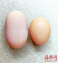 凤安村鸡蛋是哪里的特产 毛鸡蛋是安徽特产吗