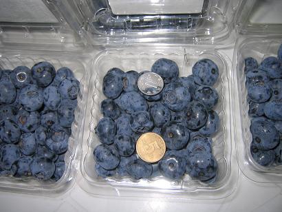 内蒙古特产野生小蓝莓 野生蓝莓内蒙叫什么