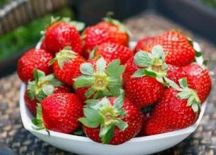 草莓是中国特产吗 中国的草莓主要产地