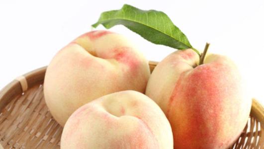 摩尔庄园特产苹果水蜜桃去哪里买 摩尔庄园苹果水蜜桃在哪