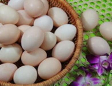 广西特产公鸡蛋 广西紫壳鸡蛋图片