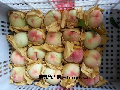 哪里桃子特产最出名呢 中国哪里的桃子最好