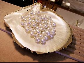 珠海特产珍珠有哪些品牌 珠海哪里可以买到真正的珍珠