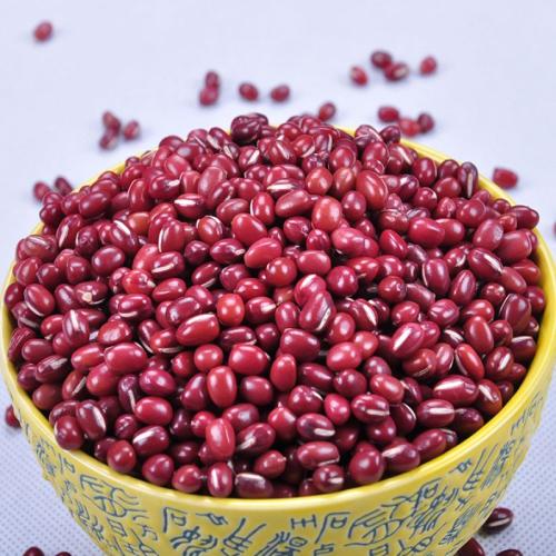 陕北特产红枣的文化内涵是什么 陕北的红枣哪里的最好