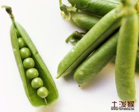 广州豌豆粉丝特产批发 广州正宗豌豆粉丝特产公司