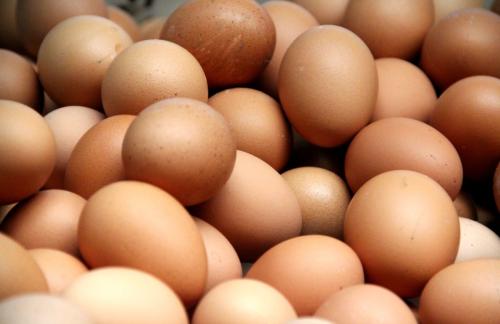 带毛的毛鸡蛋属于哪里的特产 毛鸡蛋最多的地方