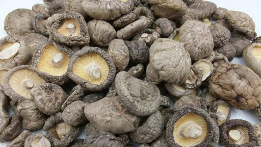 香菇是西峡的特产 家乡特产河南省西峡香菇