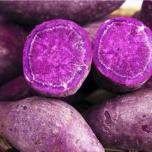 紫薯哪里的特产好吃 好吃的紫薯哪里买