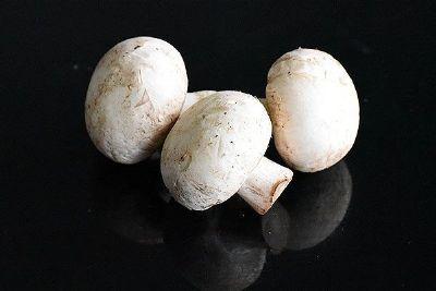 农产品土特产蘑菇 正宗的东北特产蘑菇