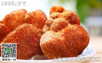 牡丹江特产猴头菇 黑龙江野生猴头菇图片