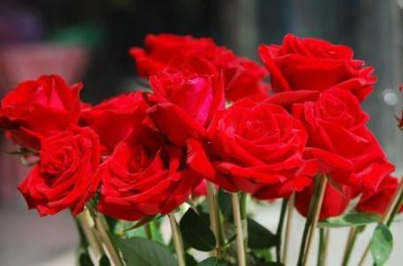 乌干达玫瑰特产 乌干达最著名的特产