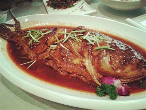 红岛特产原汁蛤蜊 青岛红岛最好吃的蛤