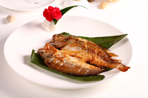 中国小黄鱼特产 哪里产的小黄鱼最好吃