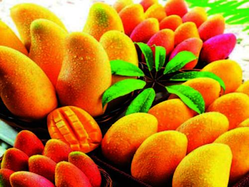 韶关最好的特产是什么水果 韶关本地有哪些水果