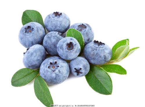 蓝莓特产图片 蓝莓的果肉图片大全