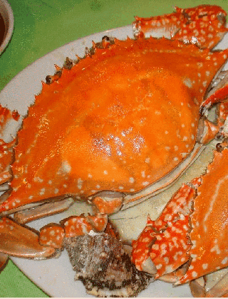 梭子蟹是哪里特产 梭子蟹哪里部位能吃
