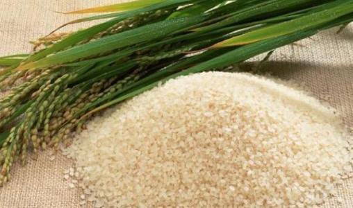 内蒙古特产有种植大米吗 内蒙古大米图片大全