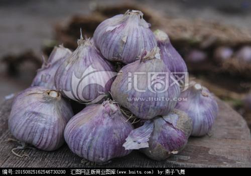 清水紫皮大蒜