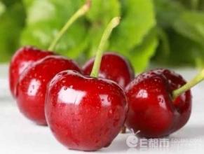 特产樱桃多少钱一斤 樱桃价格表一斤多少钱
