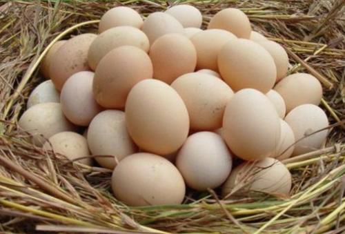 河南特产鸡蛋变蛋怎么做 