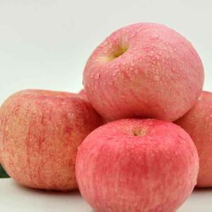 辽宁苹果特产有哪些 辽宁地区最好吃的苹果品种