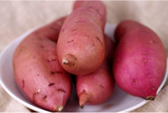 农家特产红薯粉 家里的特产红薯粉