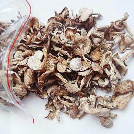 青海特产蘑菇是什么 青海草原蘑菇有哪几种能吃