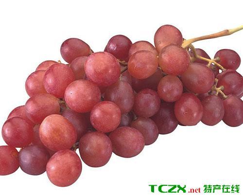 清徐葡萄是哪里的特产啊 山西清徐葡萄为什么好吃