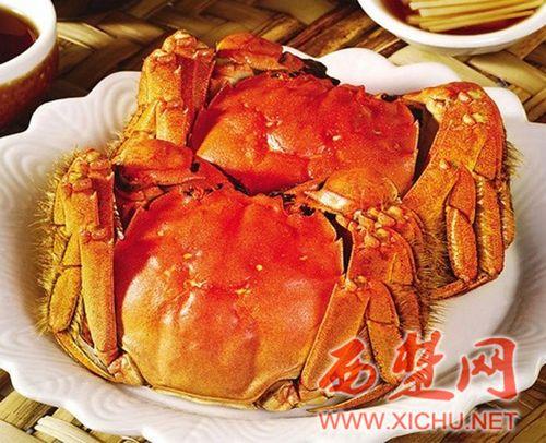 苏州特产大闸蟹多少钱一斤 