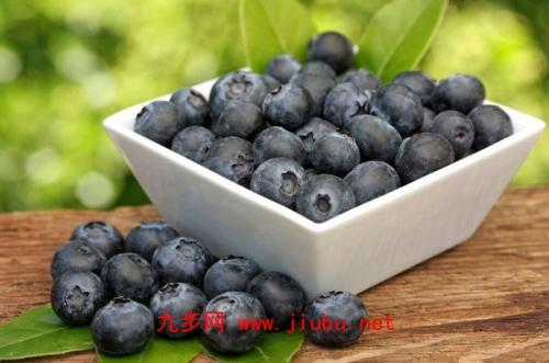 长春特产蓝莓 哪里特产蓝莓最好吃