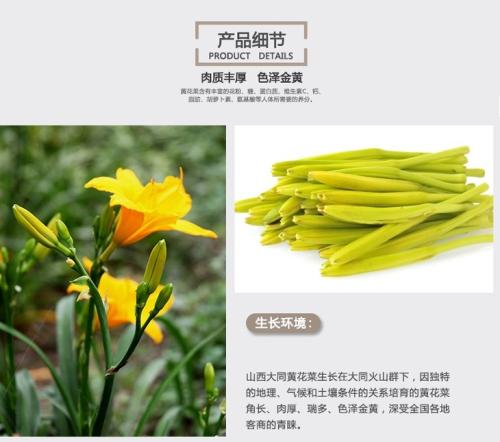 渠县的特产黄花菜是什么 四川渠县黄花菜在哪里