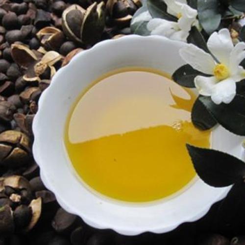 福建土特产有机茶油 十大天然茶油