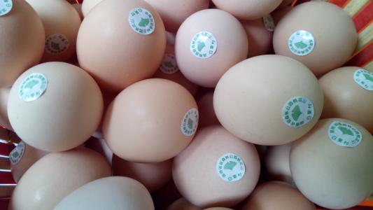 亚鑫土特产鸡蛋 张店哪里卖的鸡蛋最好