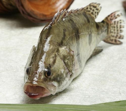 徽州特产臭鳜鱼是不是海鱼 合肥特产臭鳜鱼是全国独有的