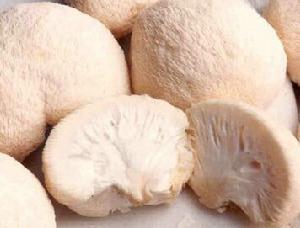 猴头菇是哪里的土特产品 猴头菇产地主要在哪个省