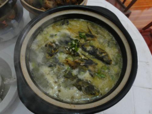 安徽泗县有什么特产菜 安徽泗县有什么吃的