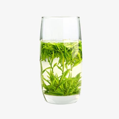 海丰特产绿茶是什么茶 海丰云雾茶价格多少钱