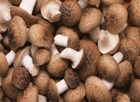 香菇豆干重庆特产500g大袋 