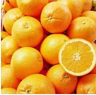 家乡特产蜜橘脐橙 我的家乡特产江西赣南脐橙