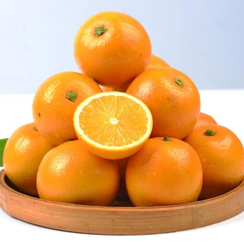 土特产柑橘的替代品 柑橘可以加工哪些产品