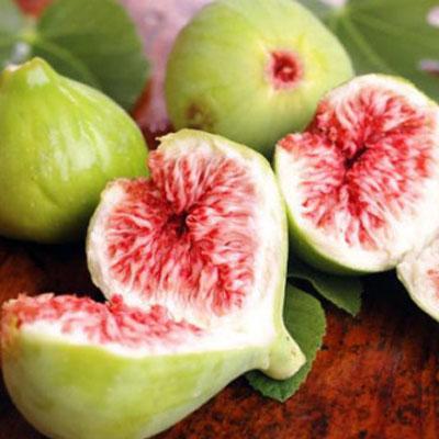 无花果是北疆特产吗 无花果哪个品种最好吃