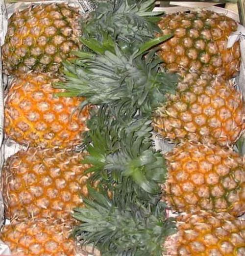 菠萝赛东带的土特产是啥 菠萝赛东带的土特产是什么